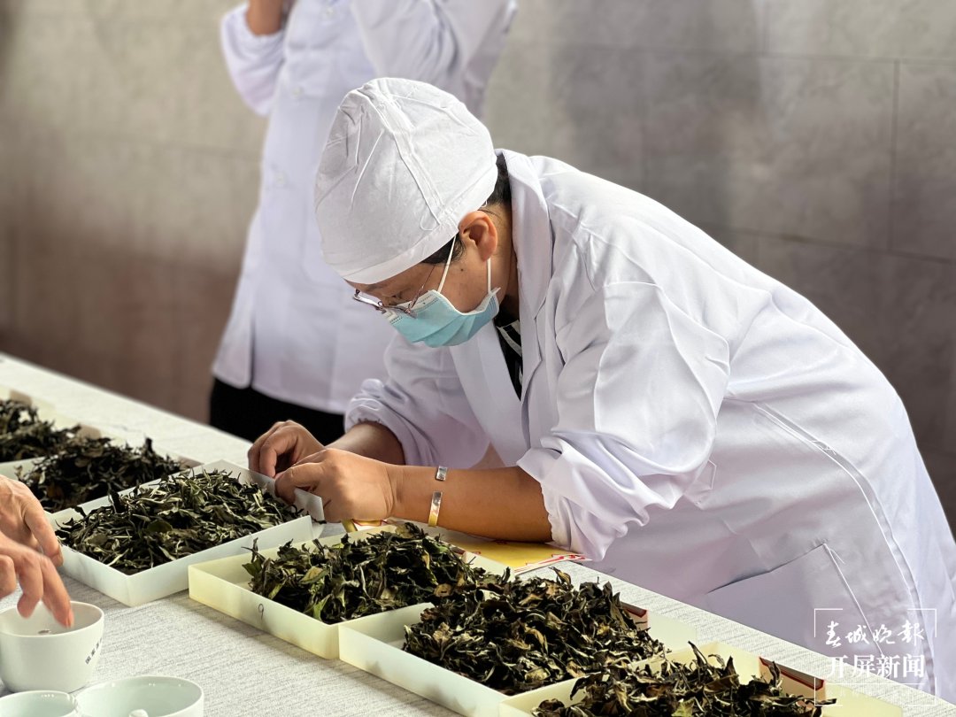 滇红茶，属大叶种类型的工夫茶，主产云南的临沧、保山、凤庆等地
