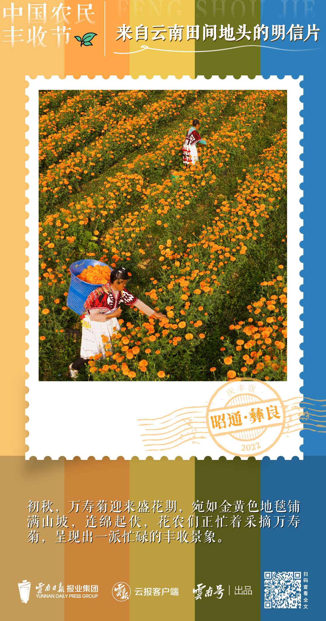 送你一组丰收明信片，作者是云南的他们→5.jpg