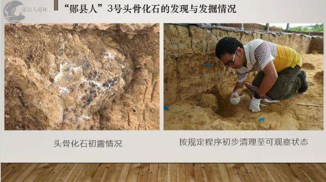 湖北十堰学堂梁子遗址，新发现1具古人类头骨化石