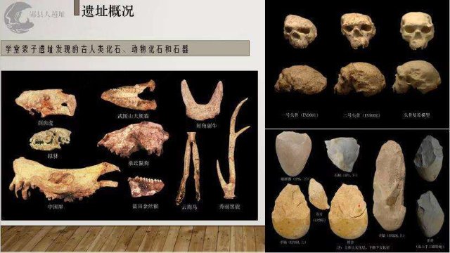 湖北十堰学堂梁子遗址，新发现1具古人类头骨化石
