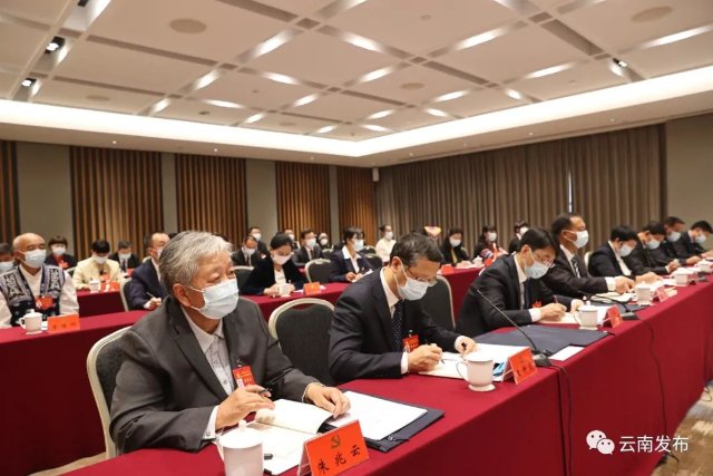 出席党的二十大云南省代表团举行全体会议2.jpg