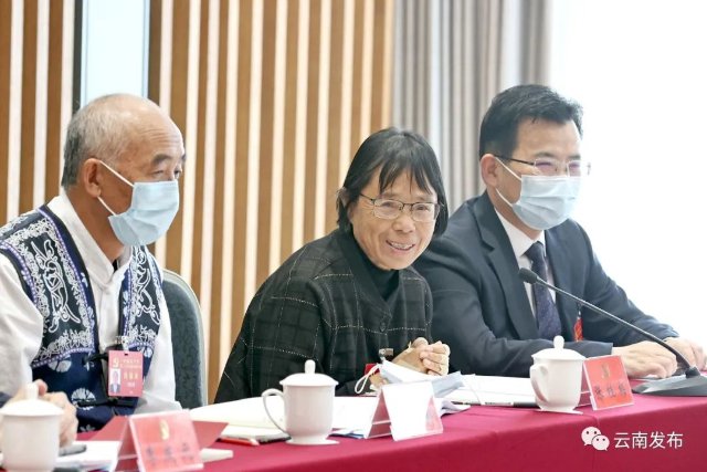 云南省代表团继续讨论党的二十大报告 郭声琨参加讨论3.jpg