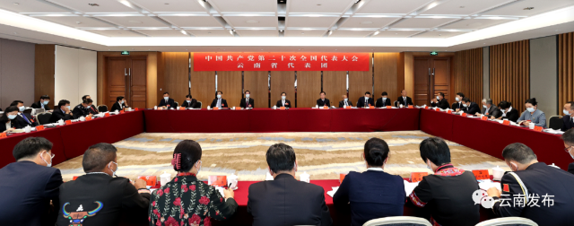 云南省代表团继续讨论党的二十大报告 郭声琨参加讨论1.png
