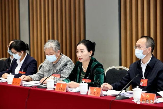 云南省代表团讨论十九届中央纪委工作报告和党章修正案3.jpg