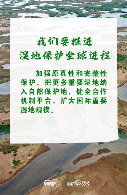 推进湿地保护全球行动 习近平诠释中国担当3.jpg