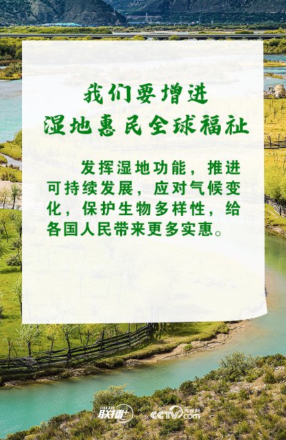 推进湿地保护全球行动 习近平诠释中国担当4.jpg