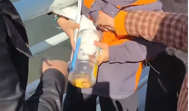 #父母帮小男孩抓海鸥强行塞进塑料瓶#