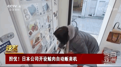 不顾广泛抗议！日本街头铺设“鲸鱼肉自动贩卖机”