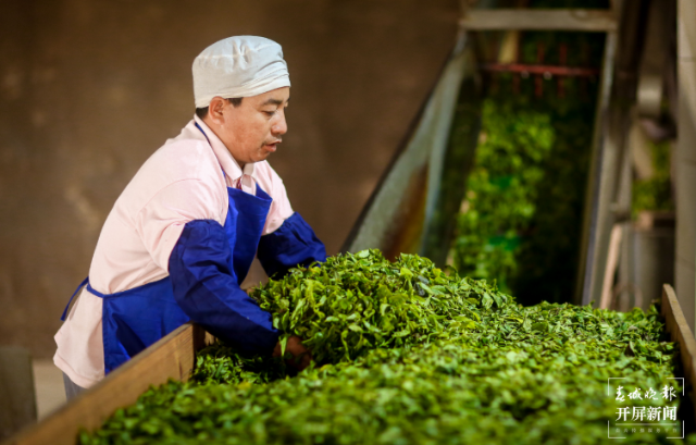 大益勐海茶厂：开拓创新 敢为人先 奋力跑出高质量发展加速度2.png