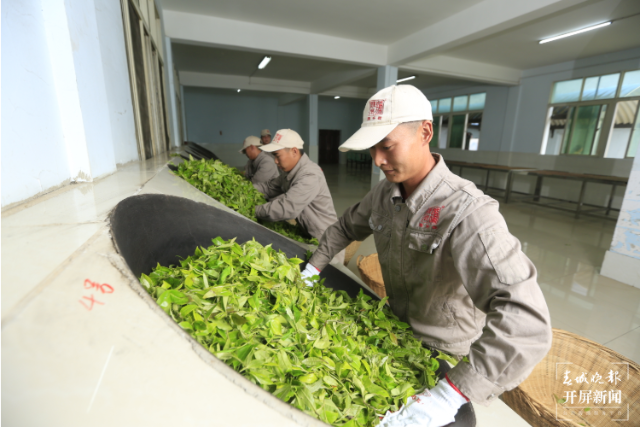 勐海陈升茶业：打造“花园式工厂”，彰显绿色发展担当2.png