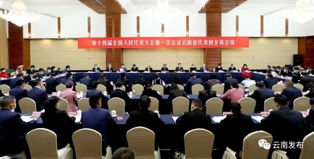 云南省代表团举行全体会议