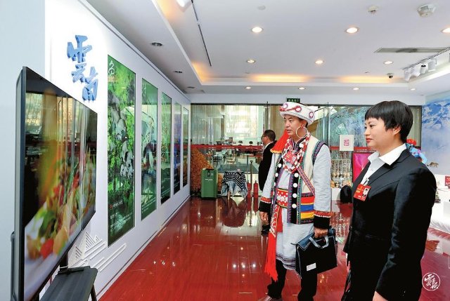 云南省代表团驻地设置主题展览3.jpg
