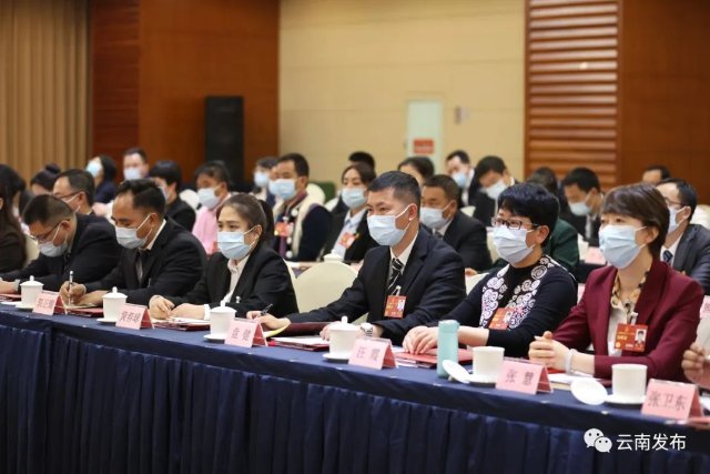 云南省代表团举行全体会议2.jpg