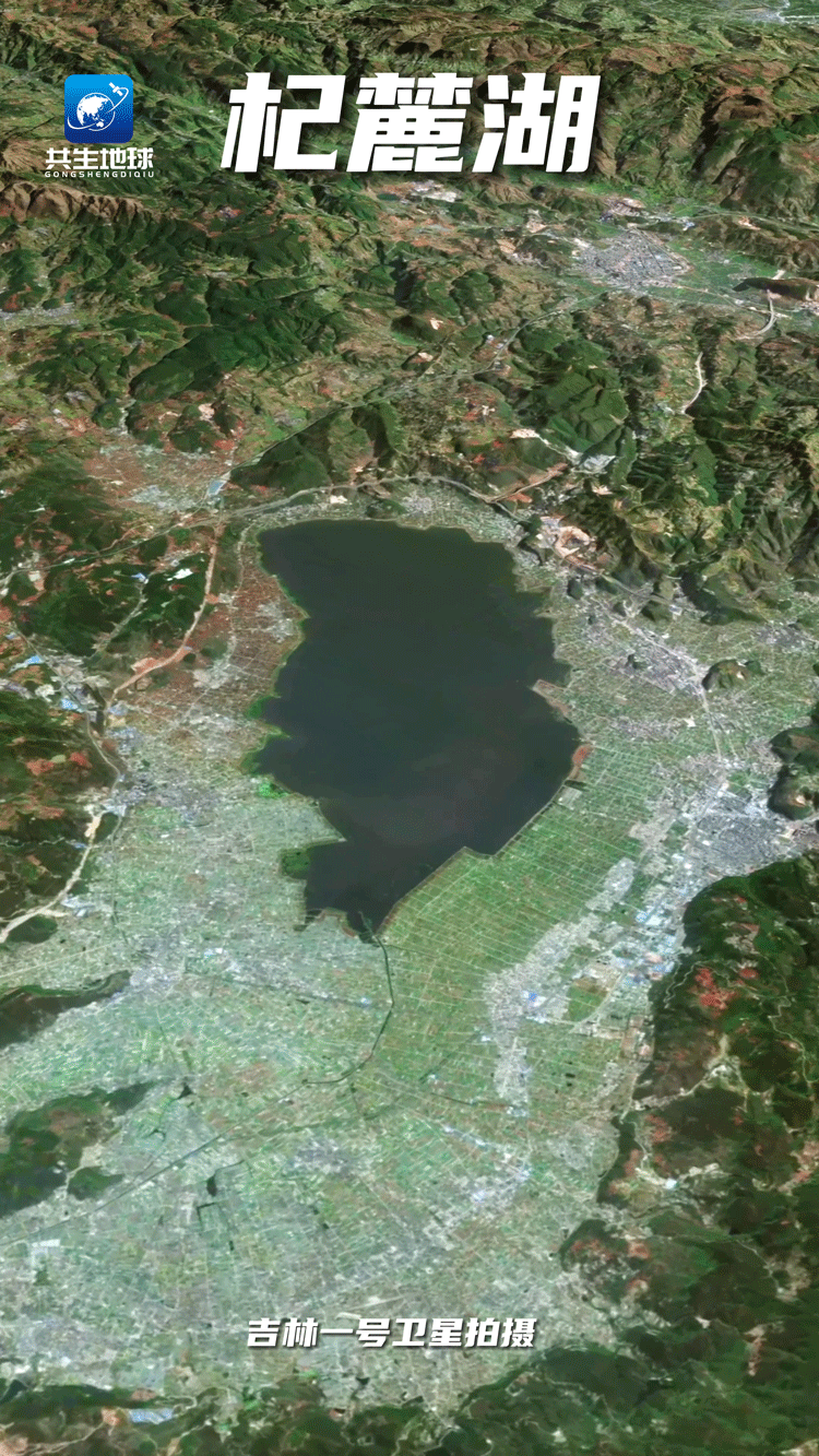 杞麓湖卫星图.gif