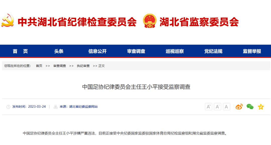 中国足协纪律委员会主任王小平被查