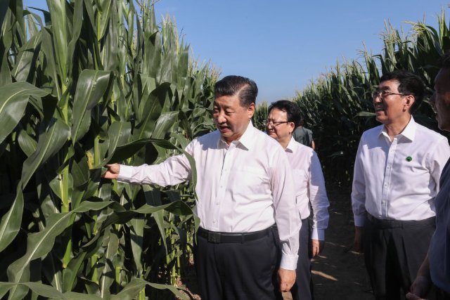 在田间地头，总书记关心农业科技创新12.jpeg