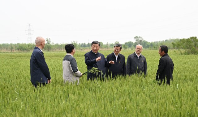 在田间地头，总书记关心农业科技创新2.jpeg