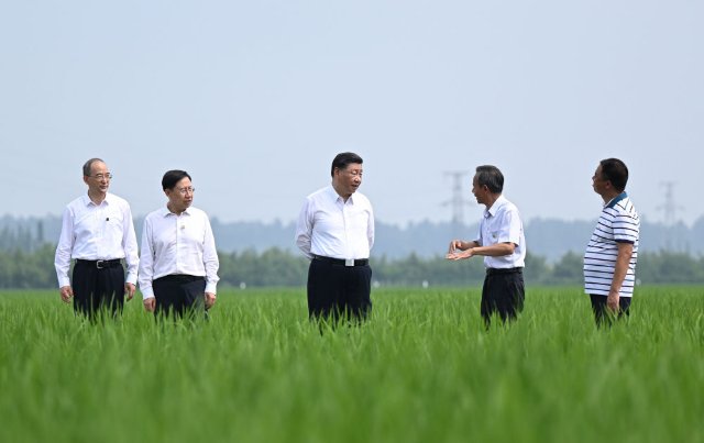 在田间地头，总书记关心农业科技创新16.jpeg
