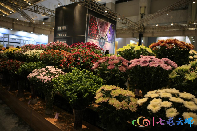 中国昆明国际花卉展重启3.png