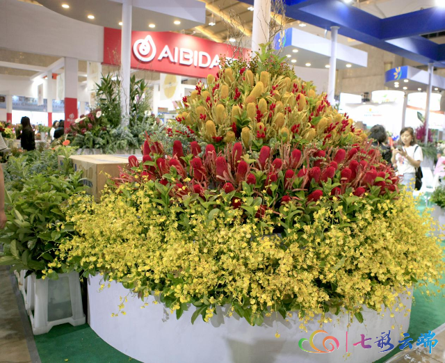 中国昆明国际花卉展重启4.png