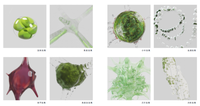 图14-滇池藻类三维写实化设计表达.png