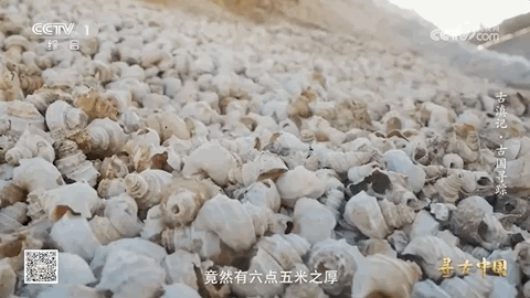 震撼！古人吃剩的螺蛳壳堆成一座山