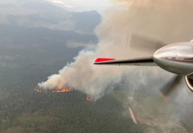 加拿大今年野火灾害创多项纪录