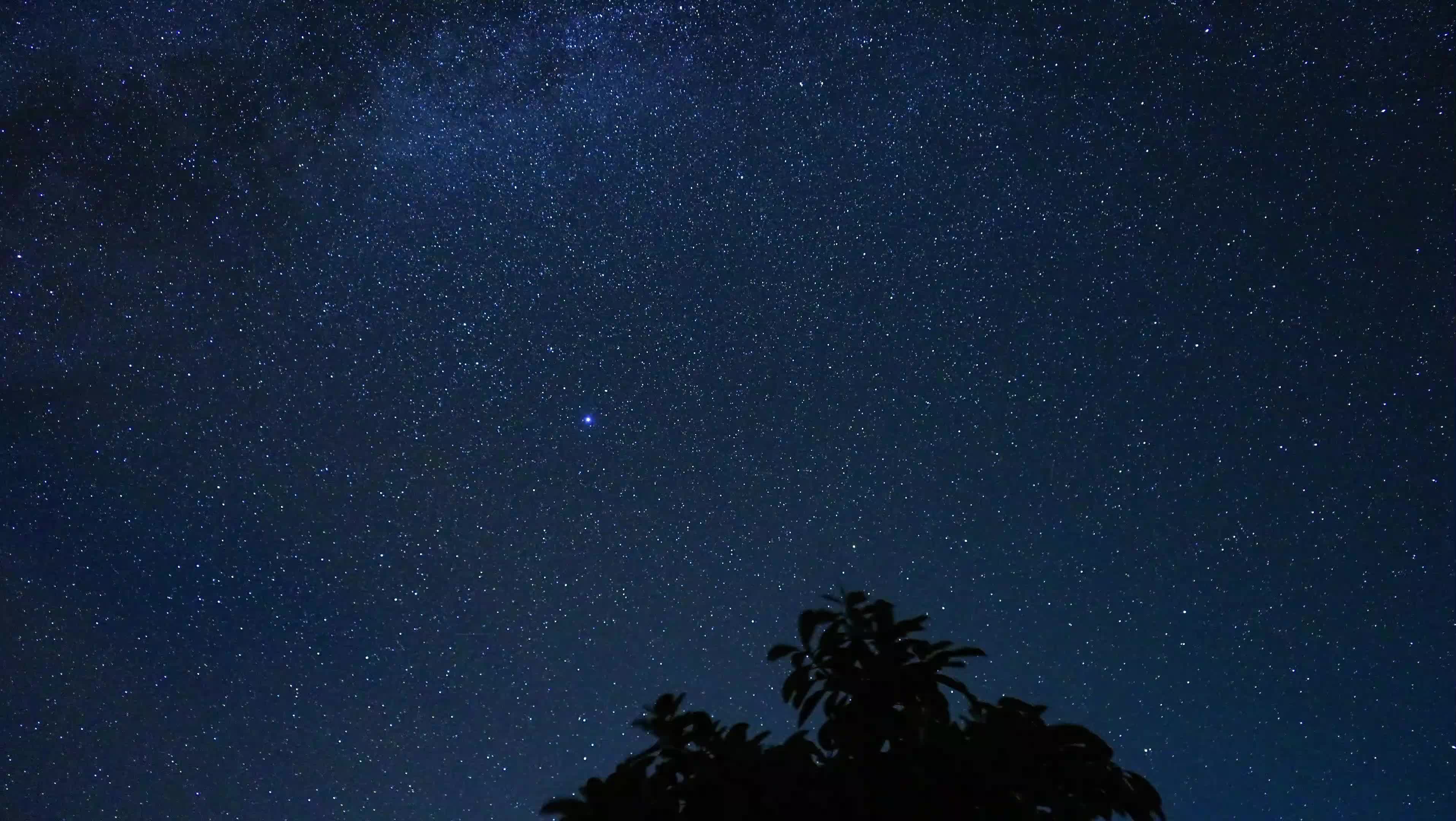 繁星点点 落叶归根图片