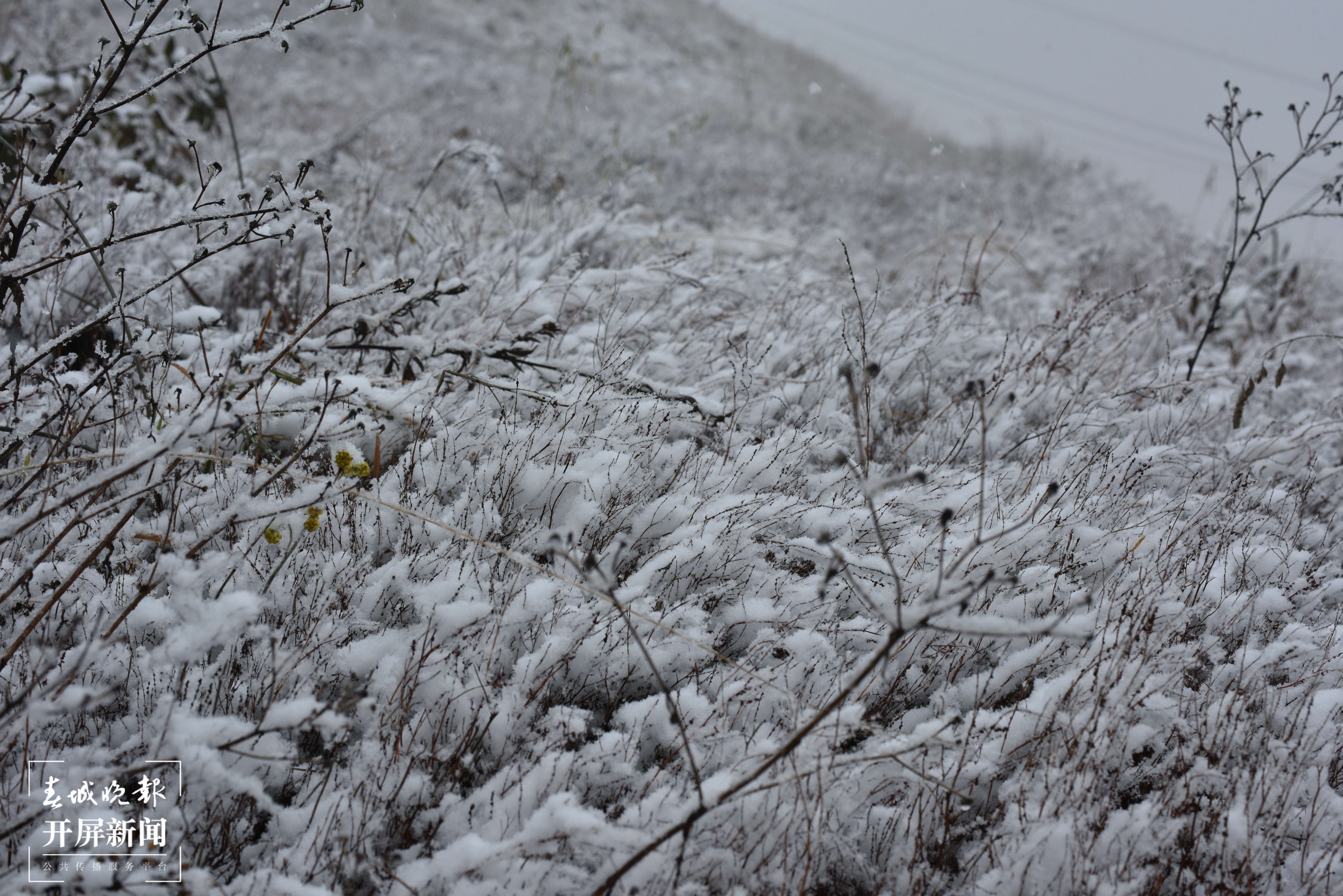 昭通大山包下雪了3.jpg
