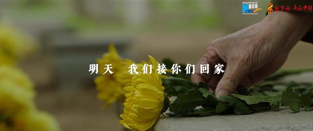英雄回家丨原创MV：长相忆4.jpg