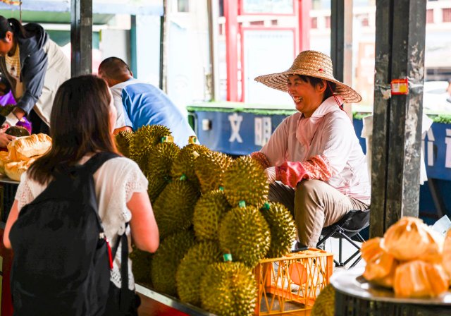 为中越关系发展定向把舵 推动亚太共同发展繁荣——写在习近平总书记即将对越南进行国事访问之际