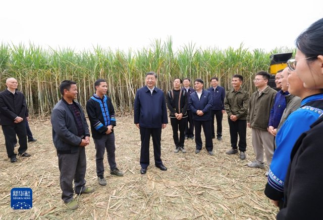 习近平在广西考察时强调 解放思想创新求变向海图强开放发展 奋力谱写中国式现代化广西篇章