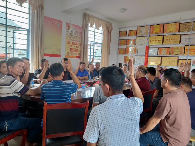 勐海县勐养村：党组织领办合作社，“一粒米”里说丰年