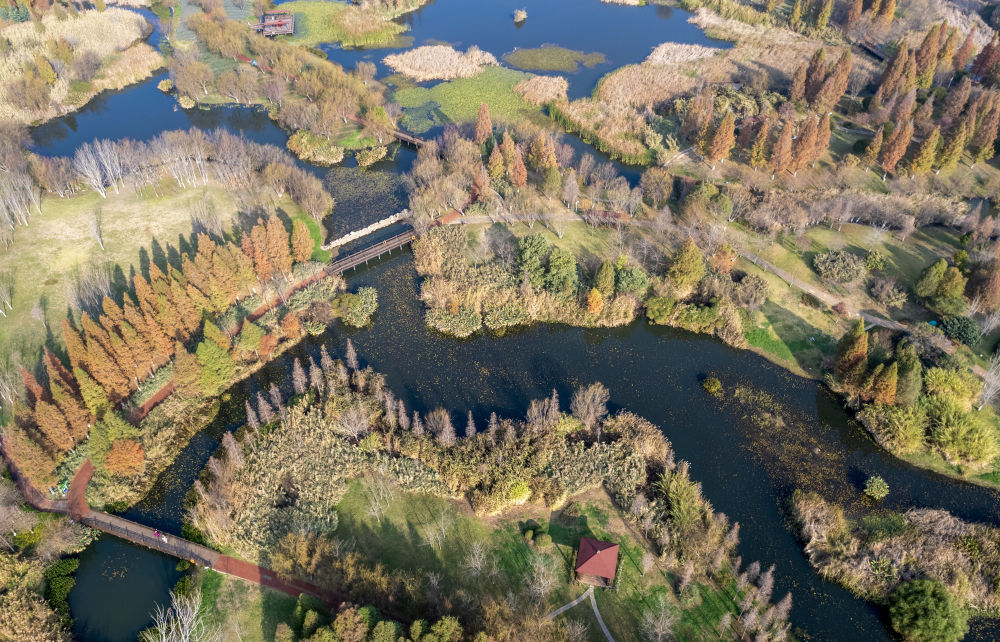 ↑这是2月2日拍摄的昆明宝丰半岛湿地公园一景（无人机照片）。01.jpg