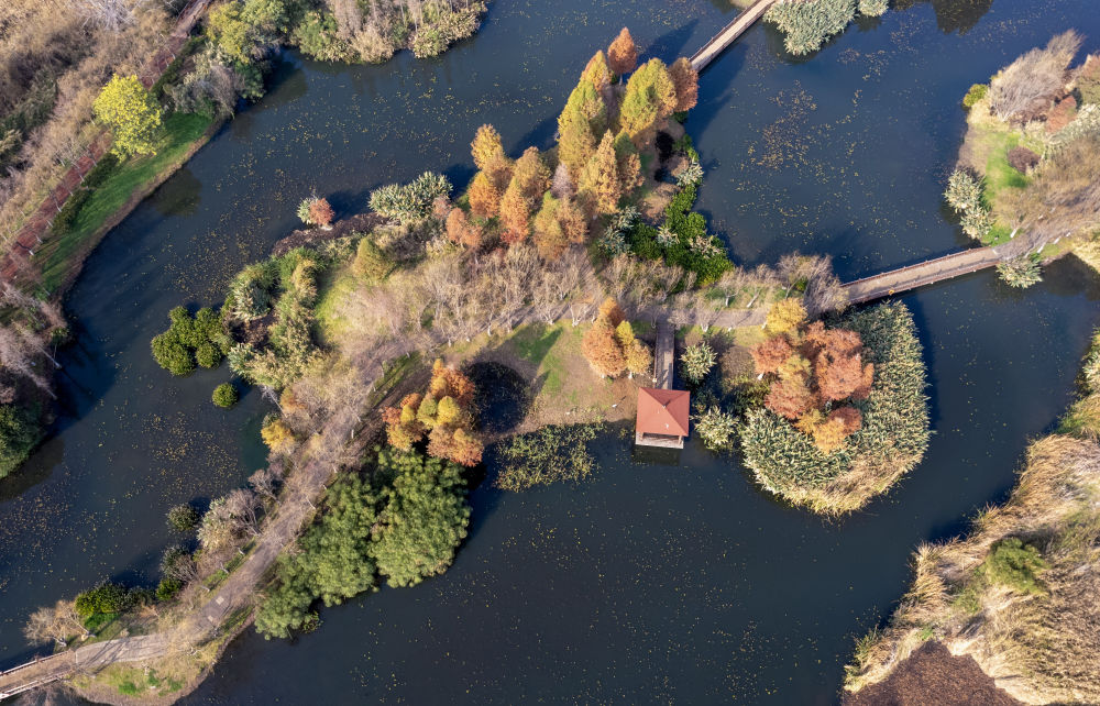 ↑这是2月2日拍摄的昆明宝丰半岛湿地公园一景（无人机照片）。02.jpg