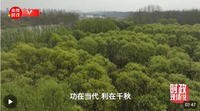 时政现场说丨植树添新绿 不负好时节3.png