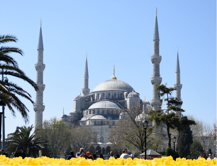 2017年4月14日，在土耳其伊斯坦布尔，人们在蓝色清真寺游览。新华社记者贺灿铃摄.png