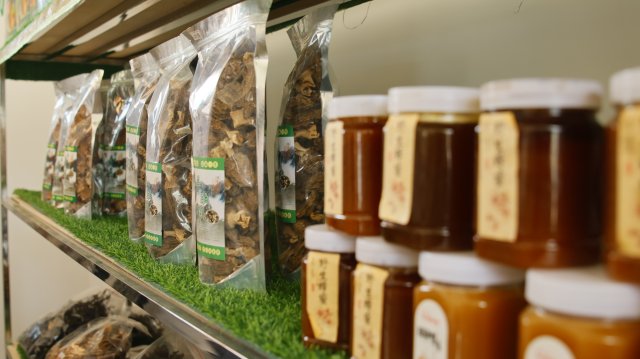 （昆滇频道稿 有视频）广南绿色发展行丨合作社携手村集体，小菌菇撑起大产业1.JPG