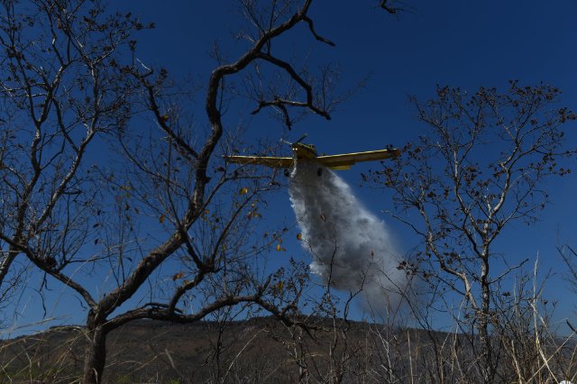 巴西今年头四个月发生逾1.7万起林火　创同期纪录