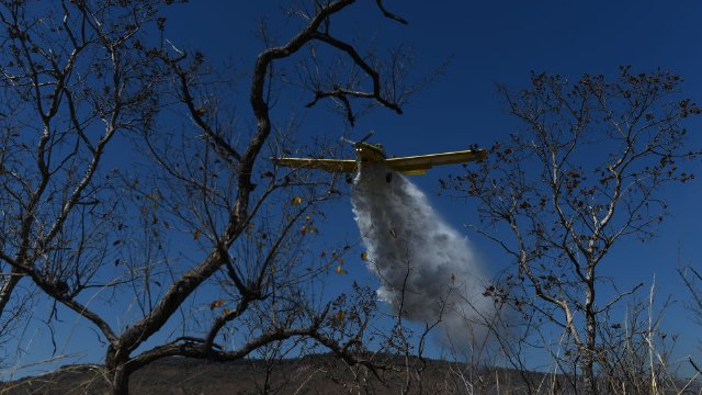 巴西今年头四个月发生逾1.7万起林火