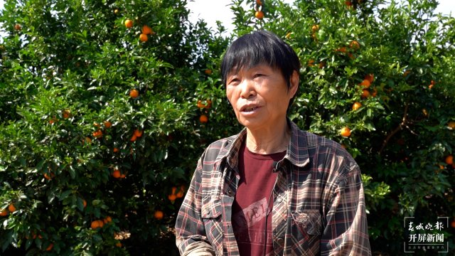 杜义秀（采访传编辑）美好生活在云南 大理宾川：残次水果做肥料，酵素种出生态果.jpg