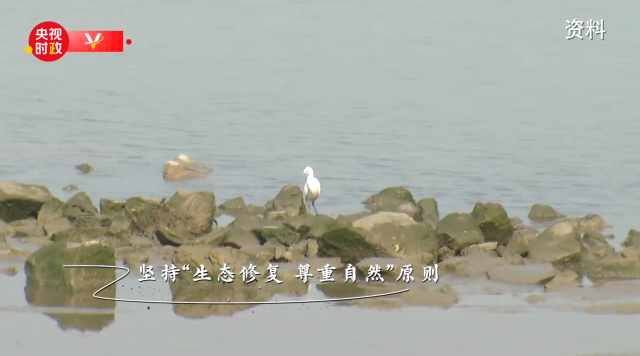 习近平山东行丨绿道添魅力 生活添美好——走进阳光海岸绿道