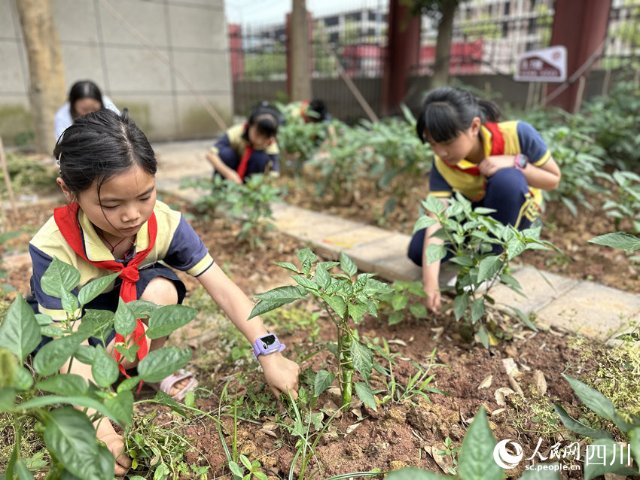 “这份珍贵的‘六一’礼物，我将永远珍藏”