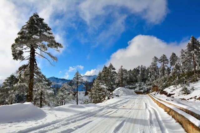 冬日雪景 张军 摄.jpg