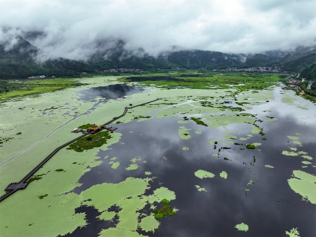 北海湿地航拍20240528刘正凡摄 (19).jpg