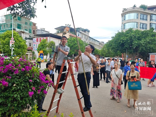 好嗨哟~自由采摘，“芒果自由” (4).jpg