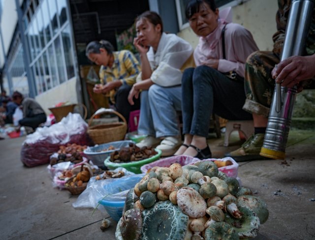 中午，白邑农贸市场，村民开始售卖采到的野生菌3.jpg