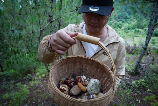 余先生一早上的收获，满满的一篮子野生菌2.jpg